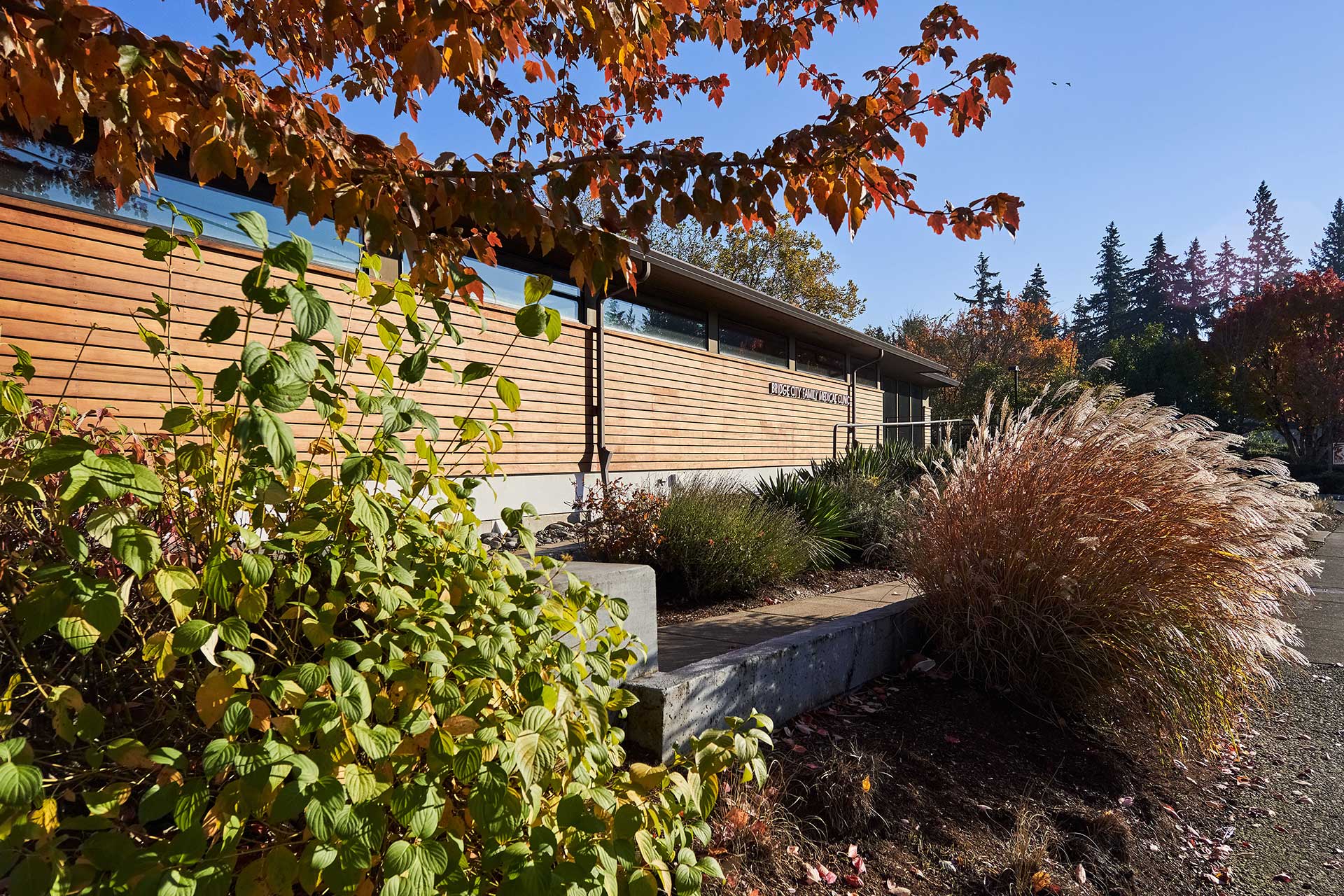 The medical clinic design features horizontal cedar siding and clerestory windows.