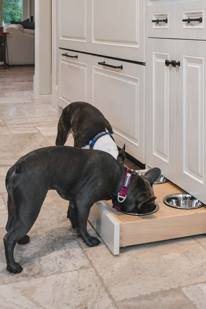 French bulldogs dine at the pull-out dog bowl drawer in the kitchen.