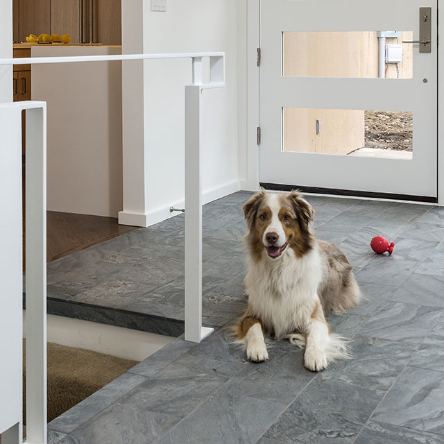 The new white stair guardrail contrasts with the gray slate floor. An Australian Shepherd dog sits in the entry with his red ball.