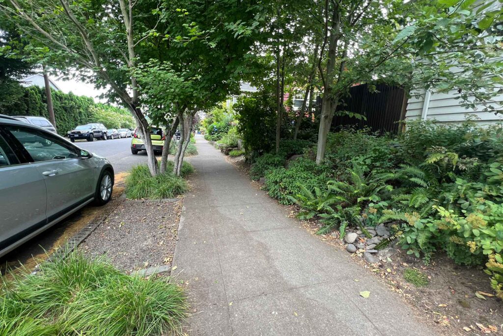 The sidewalks and parking strips at this home are feature low plantings and space for visitors to access their car.