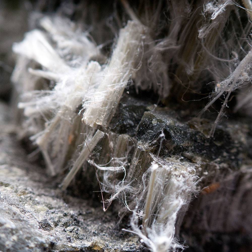 Photo of asbestos chrysotile fibers.