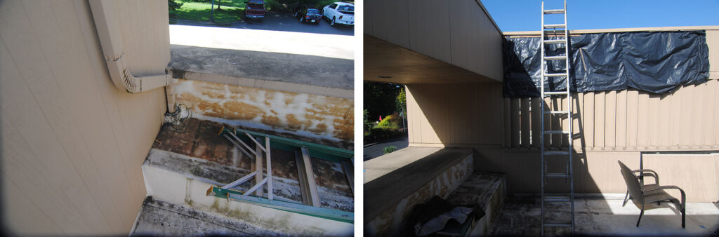 Photos showing rotted roof and wall framing and rotted siding.