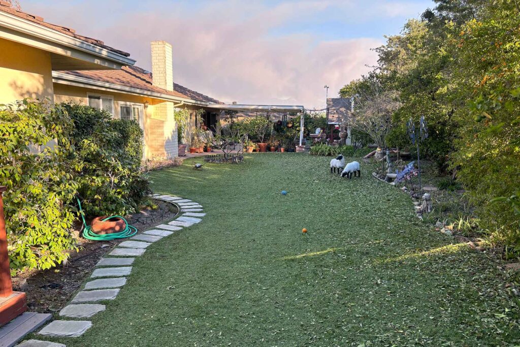 Backyard with artificial turf and scattered debris after high winds, showing how non-combustible surfaces can create a protective buffer in wildfire conditions.
