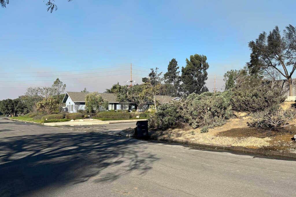 A single home still standing on a street where neighboring houses were lost, with smoke in the background and windblown trees in the foreground.