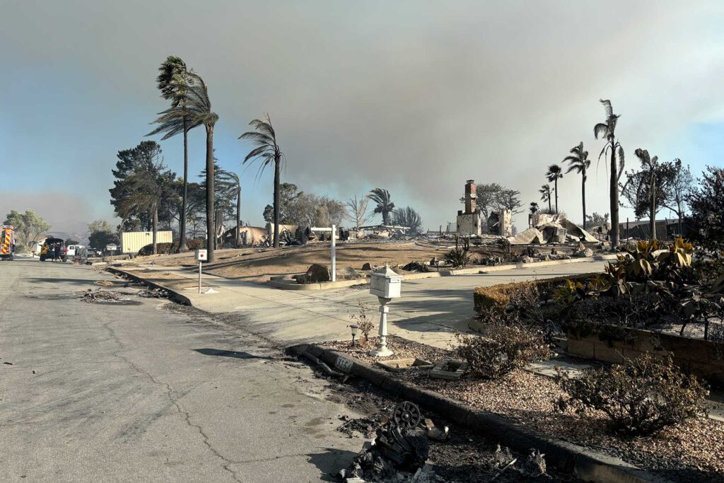 Street in Camarillo after the Mountain Fire, with burned homes reduced to rubble, scorched trees, and smoke lingering in the sky.