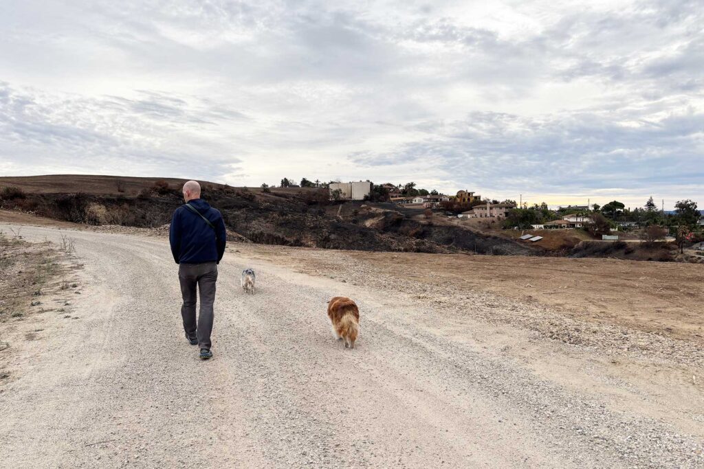 A man walks down a gravel road with two dogs, heading toward a hillside where the land is blackened and scorched from a recent wildfire, with intact houses visible in the distance under a cloudy sky.