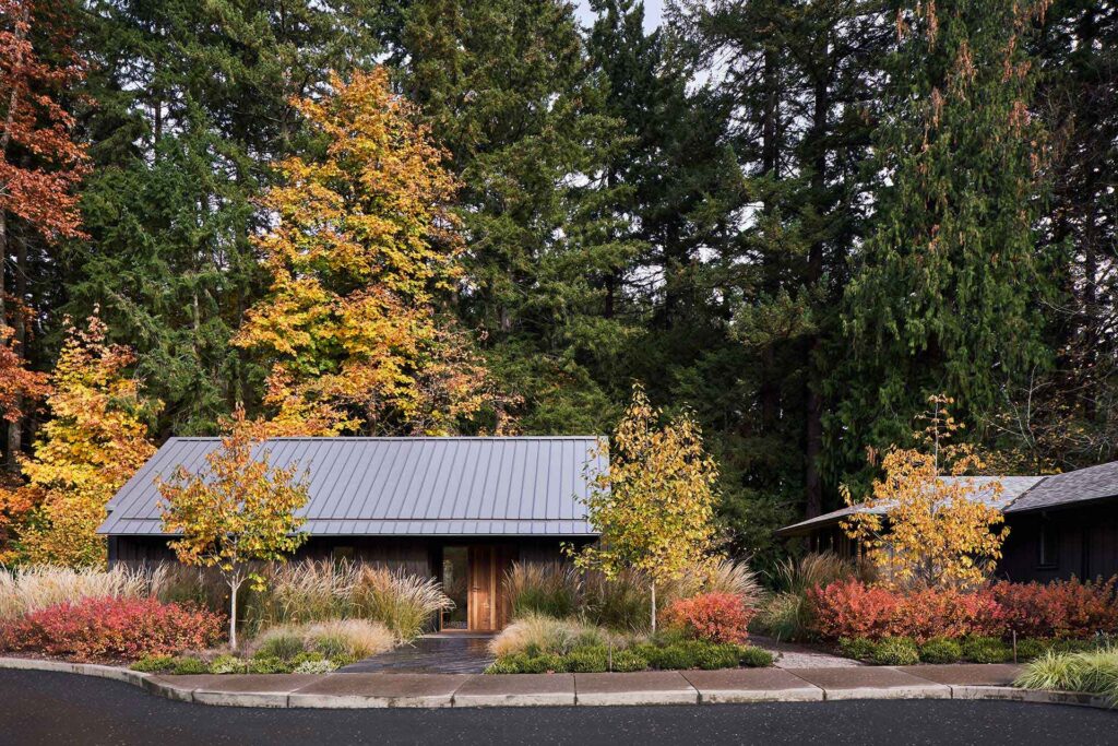 Front view of a small detached studio building with a metal roof, surrounded by trees and landscaped planting.