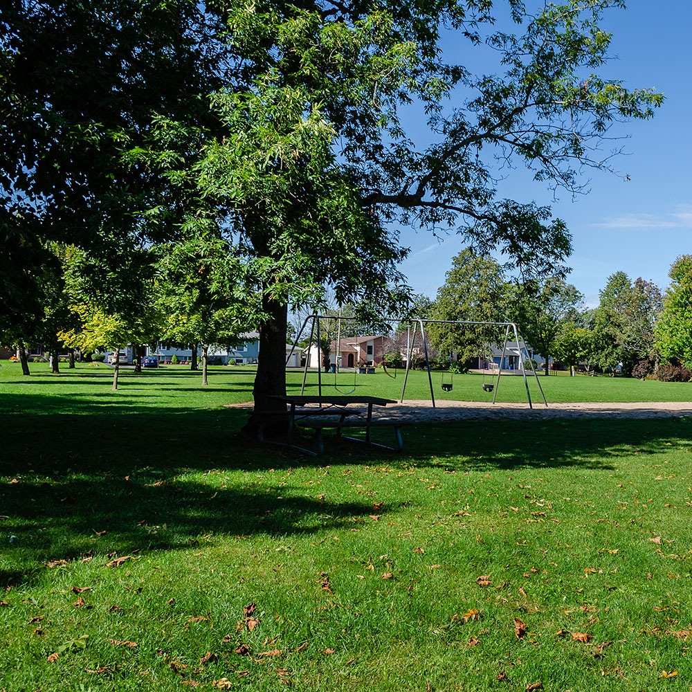 Neighborhood park and public green space funded in part through system development charges associated with new development and growth.